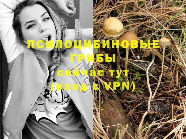 синтетический гашиш Абдулино