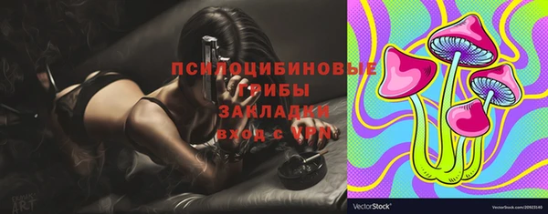 трава Абаза