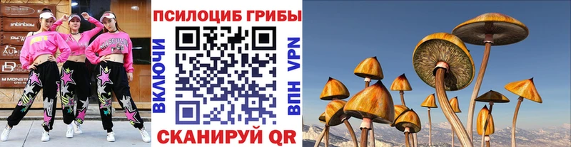 Галлюциногенные грибы MAGIC MUSHROOMS  ОМГ ОМГ маркетплейс  Юхнов  дарнет шоп 